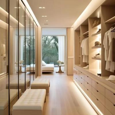 Luxury Glass Wardrobe